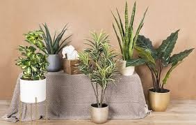 Améliorez votre décoration avec des Plantes artificielles réalistes